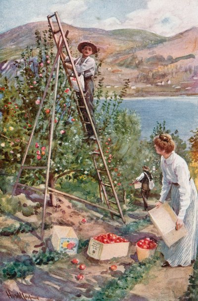 Un ranch aux fruits à Nelson, en Colombie-Britannique - Harold Copping